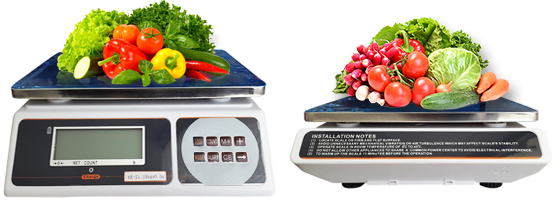 electronic weight scale